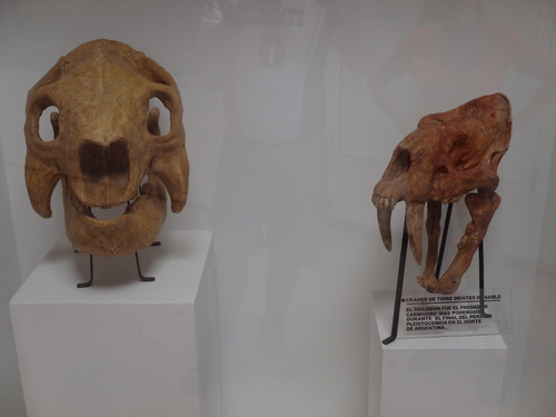 Pachamama Museum/Museo.